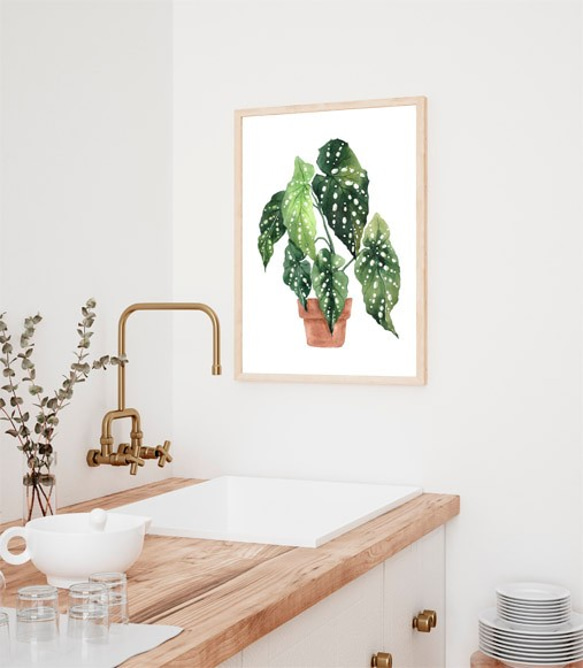 ベゴニアマクラータ / アートポスター 水彩画 観葉植物 カラー グリーン イラスト インテリア 縦長 自然 絵 4枚目の画像