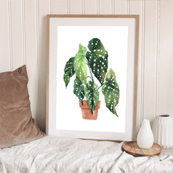 ベゴニアマクラータ / アートポスター 水彩画 観葉植物 カラー グリーン イラスト インテリア 縦長 自然 絵 7枚目の画像