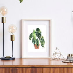 ベゴニアマクラータ / アートポスター 水彩画 観葉植物 カラー グリーン イラスト インテリア 縦長 自然 絵 8枚目の画像