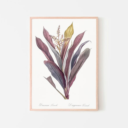 センネンボク / アートポスター イラスト アートプリント 縦長 植物 絵