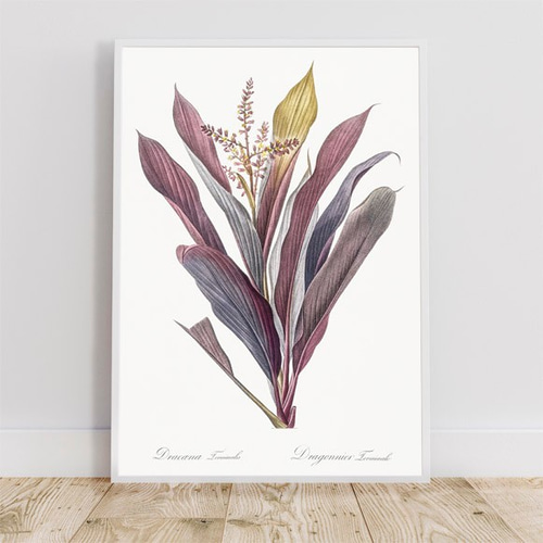 センネンボク / アートポスター イラスト アートプリント 縦長 植物 絵