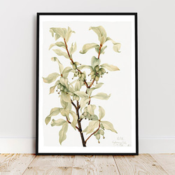 グミ / アートポスター イラスト ミニマル 植物 グリーン アートプリント 2L〜 4枚目の画像