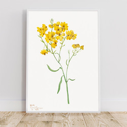 黄色の花 / アートポスター イラスト ミニマル フラワー イエロー アートプリント 2L〜 2枚目の画像