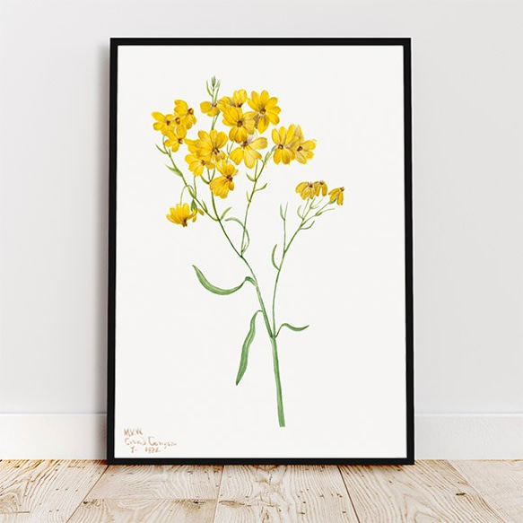 黄色の花 / アートポスター イラスト ミニマル フラワー イエロー アートプリント 2L〜 3枚目の画像