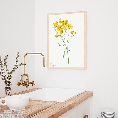 黄色の花 / アートポスター イラスト ミニマル フラワー イエロー