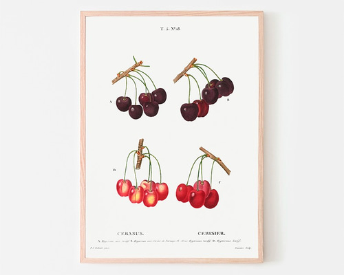 0_69954808a8e993654fcc212c781a