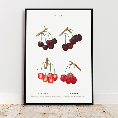 【内山田画廊】果物のポップアート 内山田画廊 (@ucymda) • Instagram photos and videos