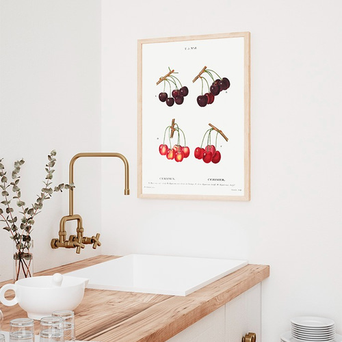 チェリー / アートポスター イラスト さくらんぼ 植物 果物 フルーツ