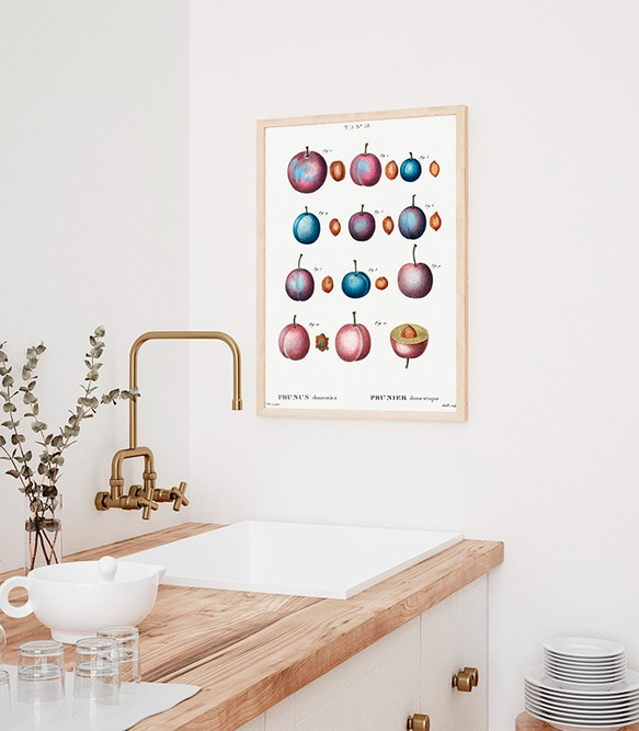 プラム / アートポスター イラスト ミニマル 植物 果物 フルーツ 夏 種 アートプリント 2L〜 4枚目の画像