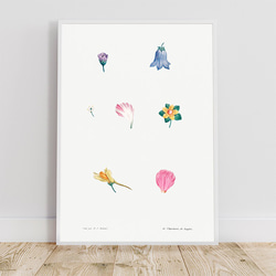 フラワーセット / アートポスター イラスト ミニマル 植物 花 フラワー カラフル 2L〜 ピンク ブルー 1枚目の画像