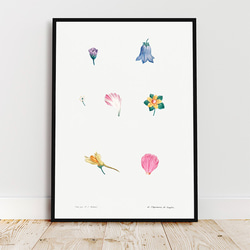 フラワーセット / アートポスター イラスト ミニマル 植物 花 フラワー カラフル 2L〜 ピンク ブルー 2枚目の画像