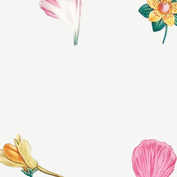 フラワーセット / アートポスター イラスト ミニマル 植物 花 フラワー カラフル 2L〜 ピンク ブルー 4枚目の画像