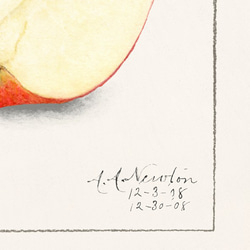 アップル / アートポスター イラスト ミニマル 果物 フルーツ レッド 赤 アートプリント 2L〜 4枚目の画像