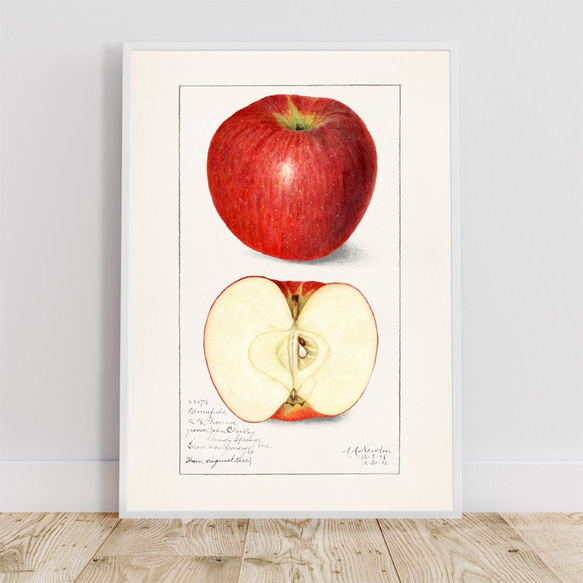 アップル / アートポスター イラスト ミニマル 果物 フルーツ レッド 赤 アートプリント 2L〜 7枚目の画像