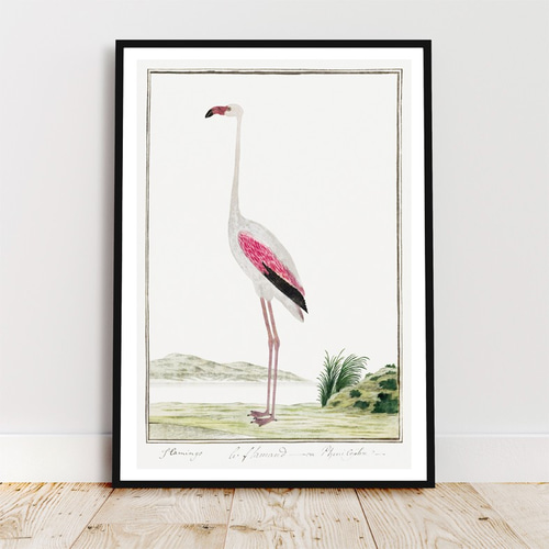 No.13フレーム付きキャンバスアート　オシャレ絵画　フラミンゴ　アートポスター No.13フレーム付きキャンバスアート オシャレ絵画 フラミンゴ アート