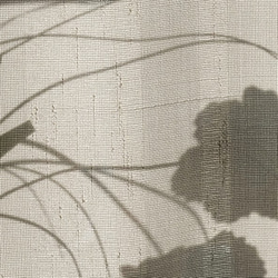 窓と植物の影 / アートポスター インテリア 2L〜 アート写真 横長 プラント 植木鉢 陰影 粒子 4枚目の画像