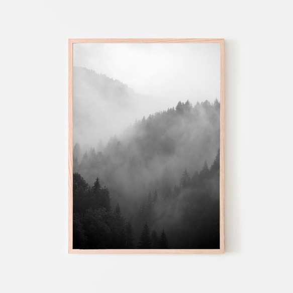 森と濃霧 / アートポスター 風景写真 アートプリント 自然 森林 forest foggy ミスト 白黒 モノクロ 6枚目の画像