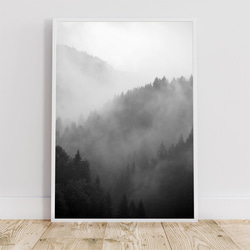 森と濃霧 / アートポスター 風景写真 アートプリント 自然 森林 forest foggy ミスト 白黒 モノクロ 7枚目の画像