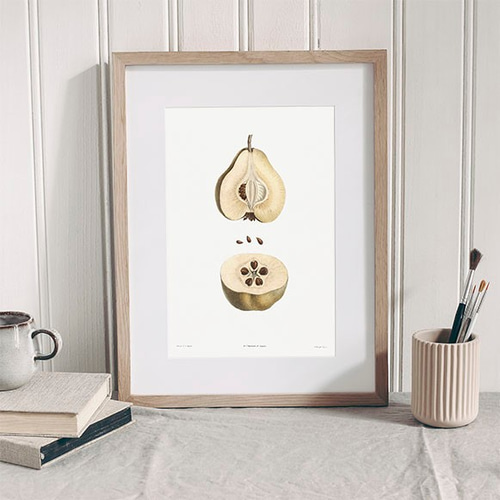 洋ナシの断面 / ポスター 写真 ミニマル クリエイティブ ラフランス