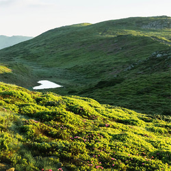 ハートの湖とふわふわの雲 / アートポスター 風景写真 山 牧草地 緑の山 縦長 自然 ハート型 バレンタインデー 5枚目の画像