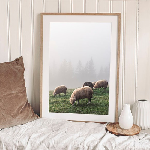 レッドビーシュリンプ 解剖図 アートプリント　ポスター　インテリア　美品 レッドビーシュリンプ 解剖図 アートプリント ポスター