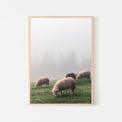霧に包まれた春の山の羊の群れ / アートポスター 風景写真 山 牧草地 アートプリント 縦長 自然 ウクライナ 5枚目の画像