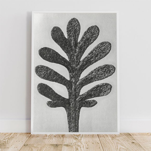 アキレアウンベラータの葉 / アートポスター 写真 拡大写真 アートプリント 2L～ 植物 アップ 白黒 モノクロ 6枚目の画像