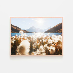 バッハアルプ湖 / アートポスター 風景写真 景色 山 自然 スイス アルプス山脈 アートプリント 横長 植物 1枚目の画像