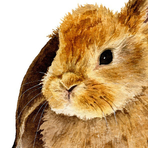 うさぎ / アートポスター 水彩画 イラスト アートプリント 縦長 動物