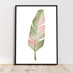 トロピカルリーフ / アートポスター 水彩画 イラスト ワイルドバナナ 縦長 観葉植物 葉っぱ ピンク オーガスタ A3 1枚目の画像