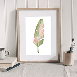 トロピカルリーフ / アートポスター 水彩画 イラスト ワイルドバナナ 縦長 観葉植物 葉っぱ ピンク オーガスタ A3 2枚目の画像
