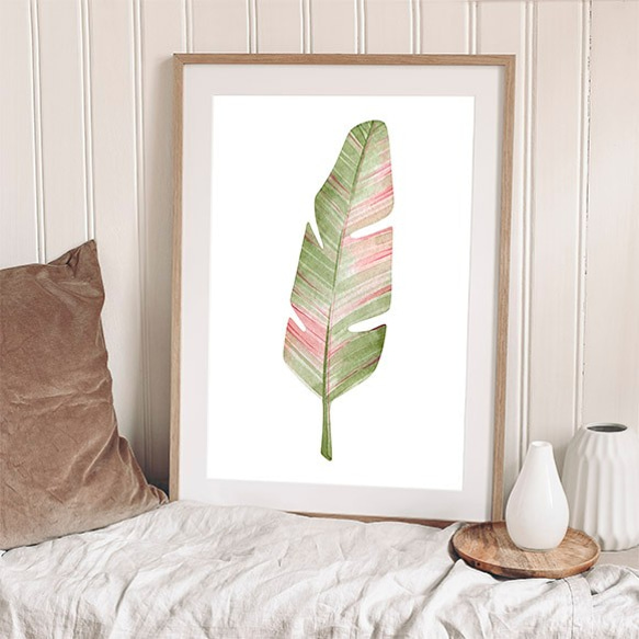 トロピカルリーフ / アートポスター 水彩画 イラスト ワイルドバナナ 縦長 観葉植物 葉っぱ ピンク オーガスタ A3 4枚目の画像