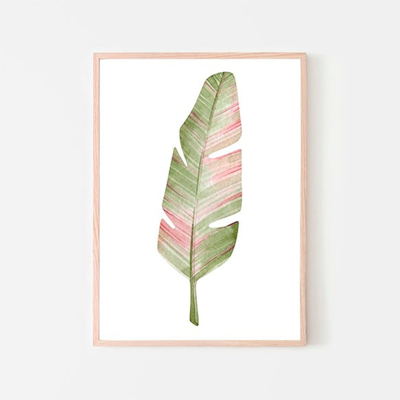 トロピカルリーフ / アートポスター 水彩画 イラスト ワイルドバナナ 縦長 観葉植物 葉っぱ ピンク オーガスタ A3 5枚目の画像