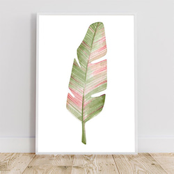 トロピカルリーフ / アートポスター 水彩画 イラスト ワイルドバナナ 縦長 観葉植物 葉っぱ ピンク オーガスタ A3 6枚目の画像