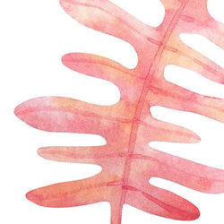 トロピカルリーフ / アートポスター 水彩画 イラスト A3 観葉植物 葉っぱ ピンク インテリア 縦長 3枚目の画像