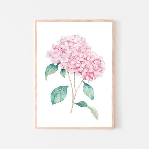 ピンクのアジサイ / アートポスター 水彩画 イラスト アートプリント