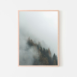 森と濃霧 / アートポスター 風景写真 アートプリント 2L～ 自然 森林 forest foggy 白黒 カラー 4枚目の画像