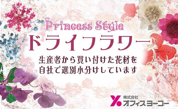 ドライフラワー ネイル パーツ レジン封入 上質 押し花 こでまり 120枚 収納ケース入 12色×各10枚 9枚目の画像