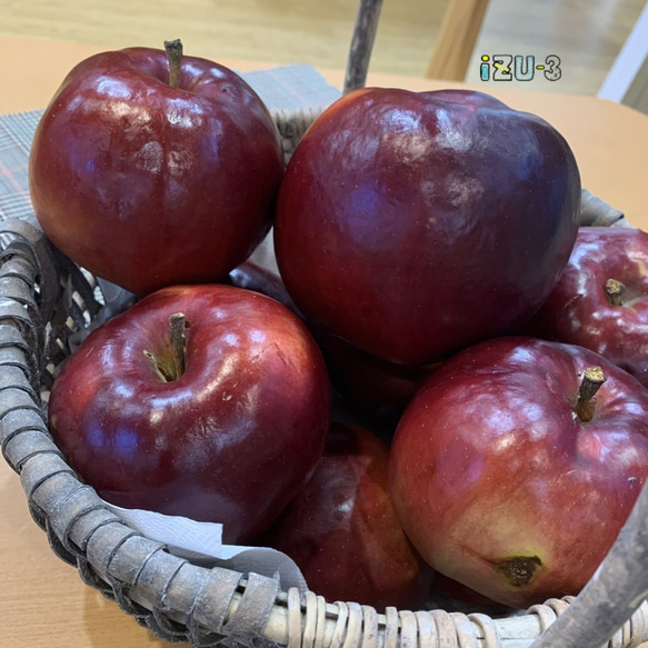 りんごのオーバルリングイヤリング 【秋田県横手市産りんご使用】 6枚目の画像