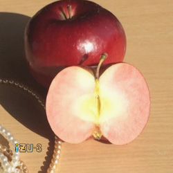 りんごを詰めこんだブローチ【秋田県横手市産りんご使用】 4枚目の画像