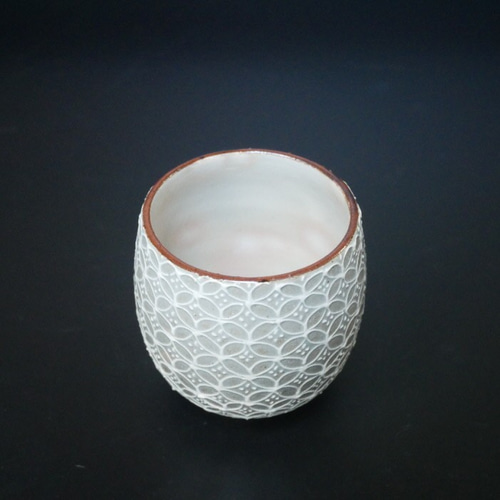 湯呑み LOLO 土瓶 湯呑み 茶敷付き ギフトセット 420ml SALIU 祥 磁器