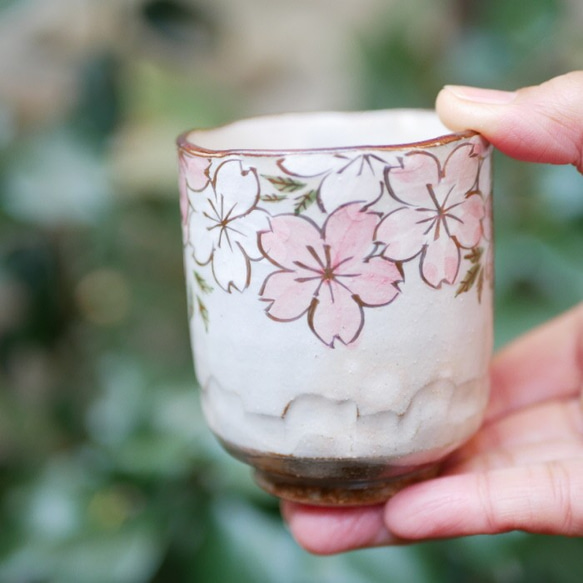 希少✨未使用品✨京焼 清水焼 坂田 瑠璃 金彩色絵吉祥桜紋 湯呑み 箱入