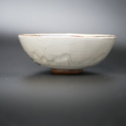 京焼・清水焼 ご飯茶碗（春草・蕨も） 5枚目の画像