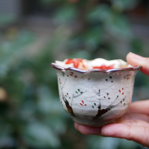 京焼・清水焼 乾山写し 色絵 付出し（雲錦） お椀・ボウル・鉢