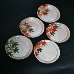 京焼清水焼 花絵6寸深皿（二枚組） 0_f006d5be5ee776c4a3a4c23a0abc