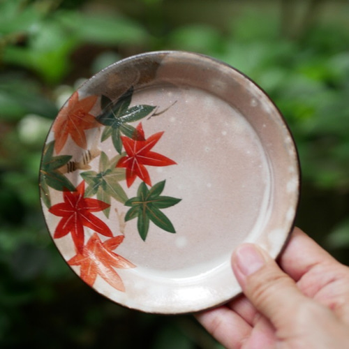 京焼・清水焼 色絵 4寸皿5枚セット （モミジ・夏から秋） 小皿