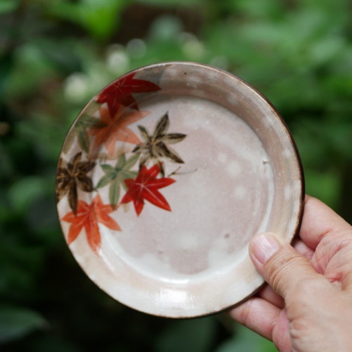京焼・清水焼 色絵 4寸皿5枚セット （モミジ・夏から秋） 小皿