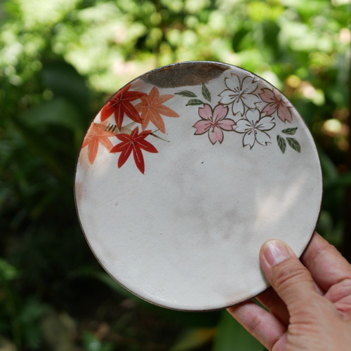 雲錦(桜と紅葉)　皿　オーバル　(5枚) 雲錦(桜と紅葉)皿オーバル(5枚)