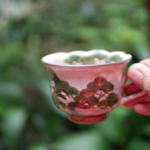 松 コーヒー碗皿 乾山写し 陶器 ティーカップ Shun 通販 12657141