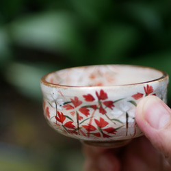 清酒杯撫子陶器京燒 第6張的照片